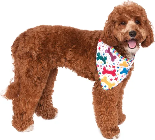Vista 2 de Rubie's It's My Bark Day - Bandana reversible para mascotas, talla S / M