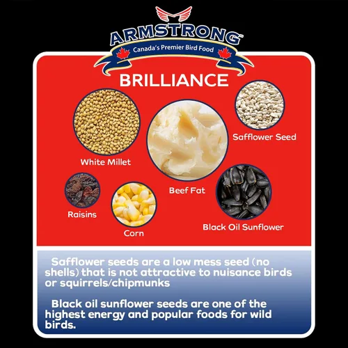 Vista 4 de Armstrong Bird Food Royal Jubilee Brilliance - Pastel de sebo de 10.6 onzas (paquete de 3), con girasol de aceite negro, cártamo, pasas, cerezas