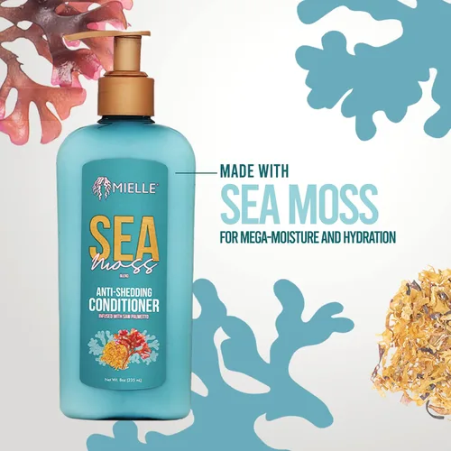 Vista 4 de Mielle Organics Sea Moss - Acondicionador hidratante para cabello seco, fortalece las hebras para reducir el desprendimiento, mejora el aspecto