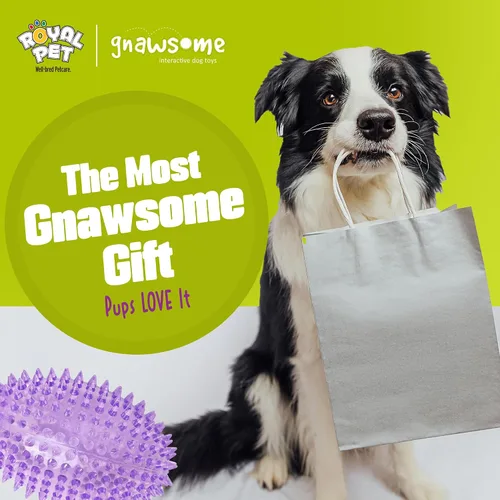 Vista 7 de Gnawsome™ 4.5” Balón de fútbol chillón puntiagudo para perros - Grande, limpia los dientes y promueve la buena salud dental y de las encías para tu