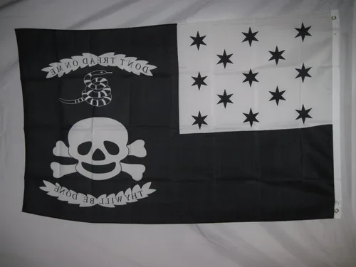 Vista 4 de Bandera de Plattsburgh de 3 x 5, 3 x 5 pies, NewL8
