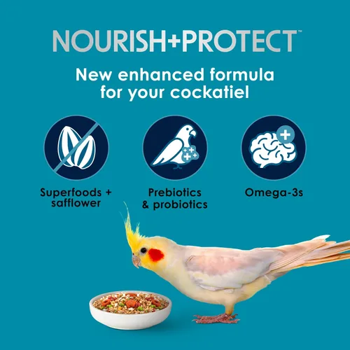 Vista 3 de Kaytee Forti-Diet Pro Salud+Nourish+Protect alimento para periquitos, apoya la cría y la muda, nutrición respaldada por la ciencia, salud digestiva
