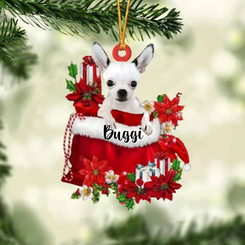 Vista 202 de Perro Akita Inu personalizado en bolsa de regalo, adorno de Navidad, nombre personalizado, regalo para amantes de los perros, familia, Navidad