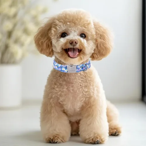 Vista 203 de Collar para perros del 4 de julio, collares patrióticos azules para cachorros y perros pequeños, ligero y ajustable 1776 collares para cachorros