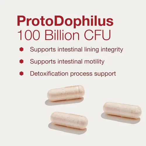 Vista 4 de PROTOCOL FOR LIFE BALANCE ProtoDophilus 100 mil millones, intestino, 30