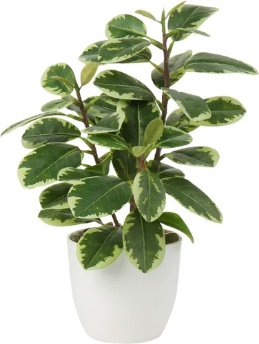 Vista 13 de Briful Plantas artificiales en maceta de camelia, pequeñas plantas de plástico sintético, plantas de escritorio, flores artificiales con jarrón
