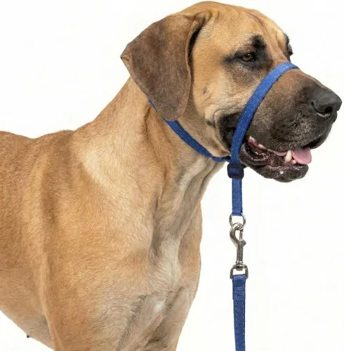 Vista 9 de Collar para la cabeza para perros, acolchado extra suave, reflectante, sin tirones, líder suave para perros con correa de nailon duradera, mango