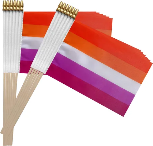 Vista 5 de TSMD Sunset Lesbian Les Pride Stick Flag - Mini banderas de mano LGBT arco iris, 5 x 8 pulgadas, paquete de 12