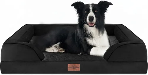 Vista 180 de Comfort Expression - Cama ortopédica para perros medianos, 28 x 19 pulgadas, cama impermeable y de apoyo de espuma con cojines removibles, sofá