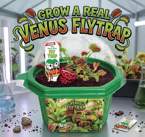 Vista 3 de Toys By Nature Venus - Juego de terrario para niños, divertido y fácil de cultivar, plantas alimentarias de insectos, kit completo de plantas