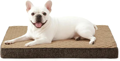Vista 24 de JOEJOY Cama ortopédica para perros extra grandes