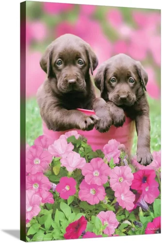 Vista 5 de Trends International Keith Kimberlin - Labs Wall Poster, 14.72" x 22.37", Stretched Canvas