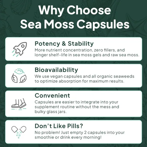 Vista 6 de Cápsulas de musgo marino salvaje orgánico de Organics Ocean - Musgo marino irlandés 100% orgánico con clorella orgánica, fucus y vitamina D