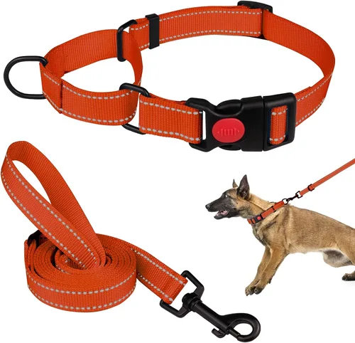 Vista 20 de Set de Collar y Correa Martingale para Perros Collares de Martingale para Perros Collar de Martingale Reflectante para Perros Pequeños, Medianos