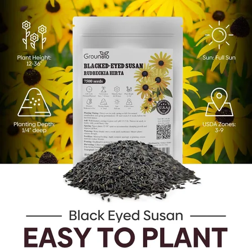 Vista 5 de Groundio Black Eyed Susan Seeds, más de 7500 semillas de flores perennes para plantar en interiores y exteriores, atraen polinizadores Sin OMG