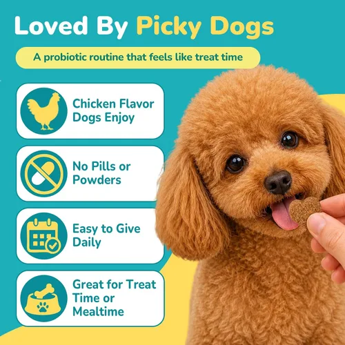 Vista 14 de Woyamay Probióticos para perros, probióticos masticables para perros, apoyo intestinal y digestivo