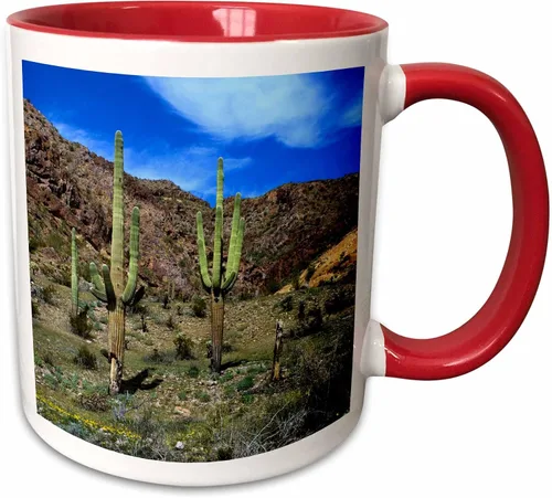 Vista 12 de 3dRose USA, Arizona, Ajo, Saguaro cacti - US03 PHA0020 - Peter Hawkins 11oz Two-Tone Black Mug