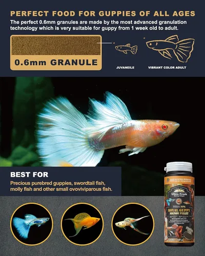 Vista 5 de Ultra Fresh Royal Guppy Mignon Pellet, alimento Guppy totalmente natural, gambas espadas, espirulina, altamente nutritivo, para agua más limpia