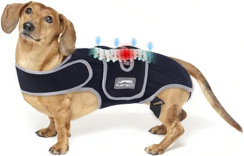 Vista 7 de Soporte de espalda para perro para IVDD, soporte de espalda suave y transpirable para mascotas para Shih Tzu y perro salchicha, arnés