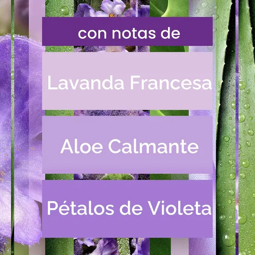Vista 4 de Glade Repuesto automático en aerosol, ambientador para el hogar y el baño, lavanda y aloe tranquilos, 6.2 onzas