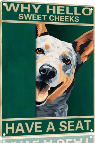 Vista 38 de Labrador Retriever - Letrero de metal con texto en inglés "Why Hello Sweet Cheeks Have A Seeks Have A Seeks" (1683)