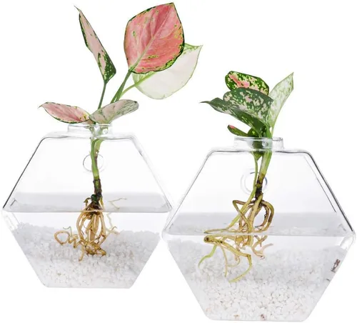 Vista 7 de Kingbuy Juego de Macetas Hexagonales de Pared - Paquete de 3 Jarrones de Terrario de Propagación de Vidrio con Soportes Colgantes para Plantas