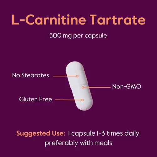 Vista 5 de BESTVITE Tartrato de L-carnitina 500 mg por cápsula (120 cápsulas) - Sin estearatos - Sin OMG - Sin gluten - Apoya la salud del corazón