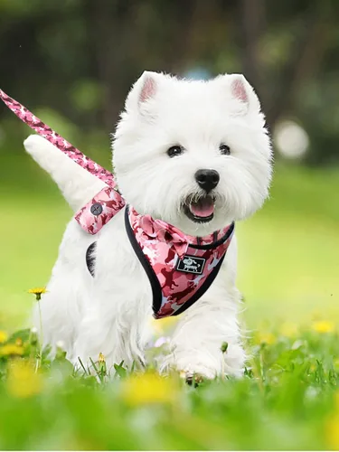 Vista 4 de Juego de arnés y correa para perros pequeños, ajustable, reflectante, sin tirones, chaleco para cachorro con collar de corbatín, correa y bolsa
