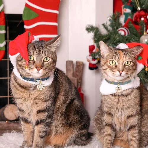Vista 6 de Paquete de 2 Collares para Gatos Separables de Algodón con Campana Azul Oscuro y Azul Claro con Colgante de Copo de Nieve Blanco Lindo Collar
