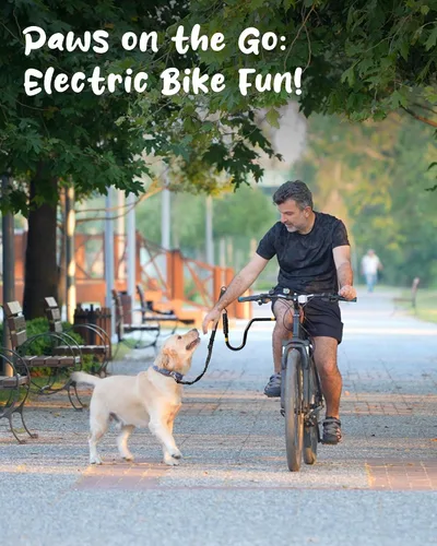 Vista 5 de Correa de bicicleta para perros – Accesorio de bicicleta manos libres para perros, absorción de golpes segura, longitud ajustable, fácil de instalar