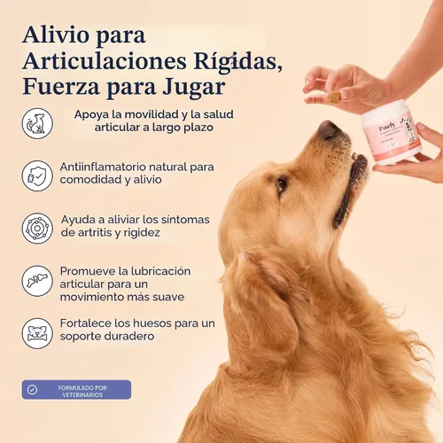 Vista 2 de Pawfy Suplemento para Cadera y Articulaciones para Perros con MSM y Vitaminas Glucosamina Condroitina para Razas Pequeñas, Medianas y Grandes