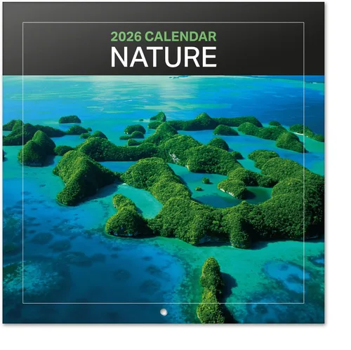 Vista 18 de Calendario de pared de arte 2026, 12 x 12 pulgadas, sin plástico y certificado FSC® – Comienza la semana el domingo Calendario de agenda familiar