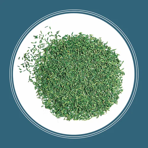 Vista 12 de Pennington Smart Seed - Mezcla de semillas para césped del noreste, 20 libras