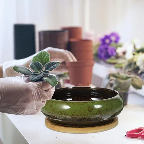Vista 8 de GANAZONO Macetas suculentas para suculentas con drenaje de cerámica para bonsái con bandejas de bambú, macetas redondas poco profundas para plantas