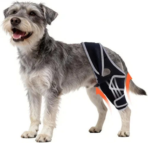 Vista 9 de Rodillera para perro para pierna trasera desgarrada del ACL, para Negro