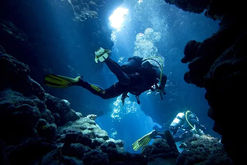 Vista 3 de Cuchillo de seguridad de buceo de acero inoxidable con correas ajustables de liberación rápida para las piernas y funda de bloqueo, hoja de 5
