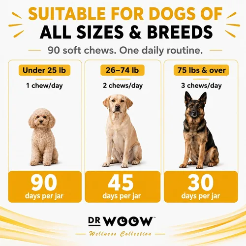 Vista 7 de Dr. Woow Pre, Post y probióticos para perros Apoyo digestivo para perros 90 masticables 3 mil millones de UFC de probióticos para perros de 7