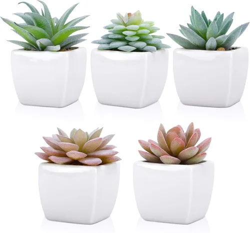Vista 3 de Funarty juego de 5 plantas suculentas artificiales en maceta para decoración del hogar