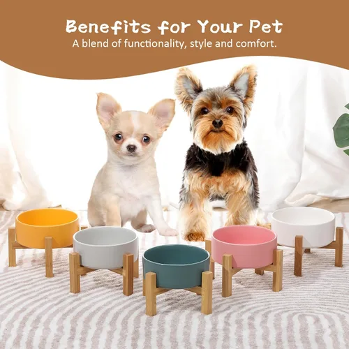 Vista 7 de Cuenco elevado de cerámica para gatos - Cuenco de comida para gatos con soporte de bambú - Plato elevado de comida para perros para cachorros - Verde