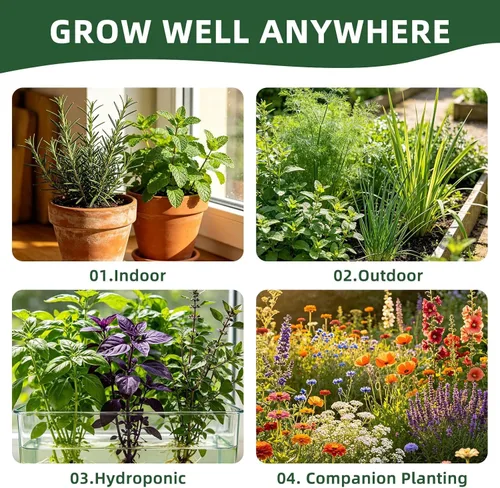 Vista 7 de 35 Medicinal & Tea Herb Seeds Variety Pack for Indoor & Outdoors