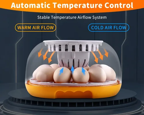 Vista 5 de Gpeng Incubadora de huevos, incubadora de 12 huevos con giro automático de huevos, control automático de temperatura, para incubar pollo, ganso