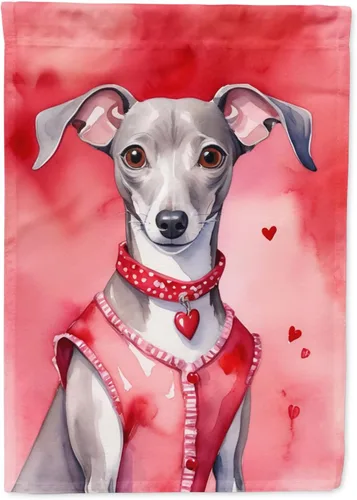 Vista 133 de Caroline's Treasures DAC5252GF Affenpinscher - Bandera de jardín con texto en inglés "My Valentine", bandera decorativa para patio exterior, patio