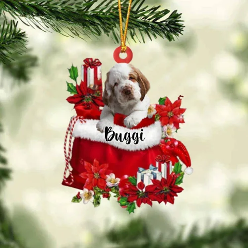 Vista 172 de Perro Akita Inu personalizado en bolsa de regalo, adorno de Navidad, nombre personalizado, regalo para amantes de los perros, familia, Navidad