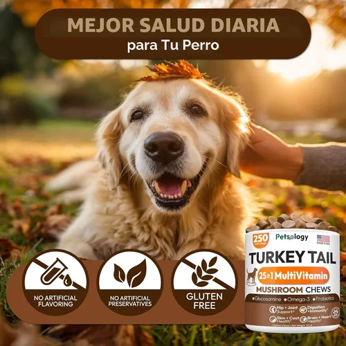 Vista 6 de Hongo de cola de pavo para perros – 250 masticables – Melena de león – Shiitake – Reishi – Protector de apoyo inmunológico Buddy – Suplemento
