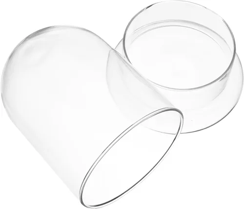 Vista 5 de Toddmomy Cúpula de cristal con base para artes y pequeños proyectos, flor preservada, 1 unidad