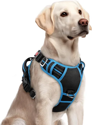 Vista 41 de Rabbitgoo - Arnés para perro de tamaño pequeño, sin tirones, 3 hebillas, fácil de poner y quitar Negro