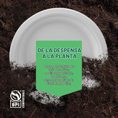 Vista 6 de Stack Man Platos de papel 100% compostables de 9 pulgadas, resistentes [paquete de 125] platos desechables ecológicos de bagazo blanco hechos
