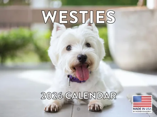 Vista 26 de Calendario mensual de pared Airedale Terrier Dog 2027