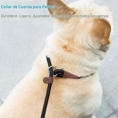 Vista 5 de MayPaw Collar ajustable de cuerda de nailon para entrenamiento de perros, collares de perro Martingala redondos sin tirones para perros pequeños