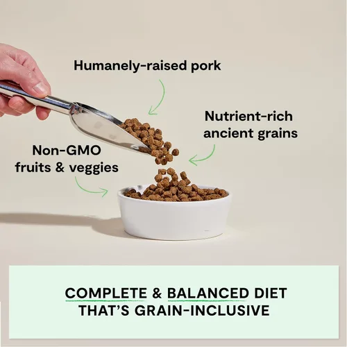 Vista 2 de Open Farm - Alimento seco para perros con cerdo y granos ancestrales, receta de cerdo criado de forma humanitaria con granos sanos, sin saborizantes